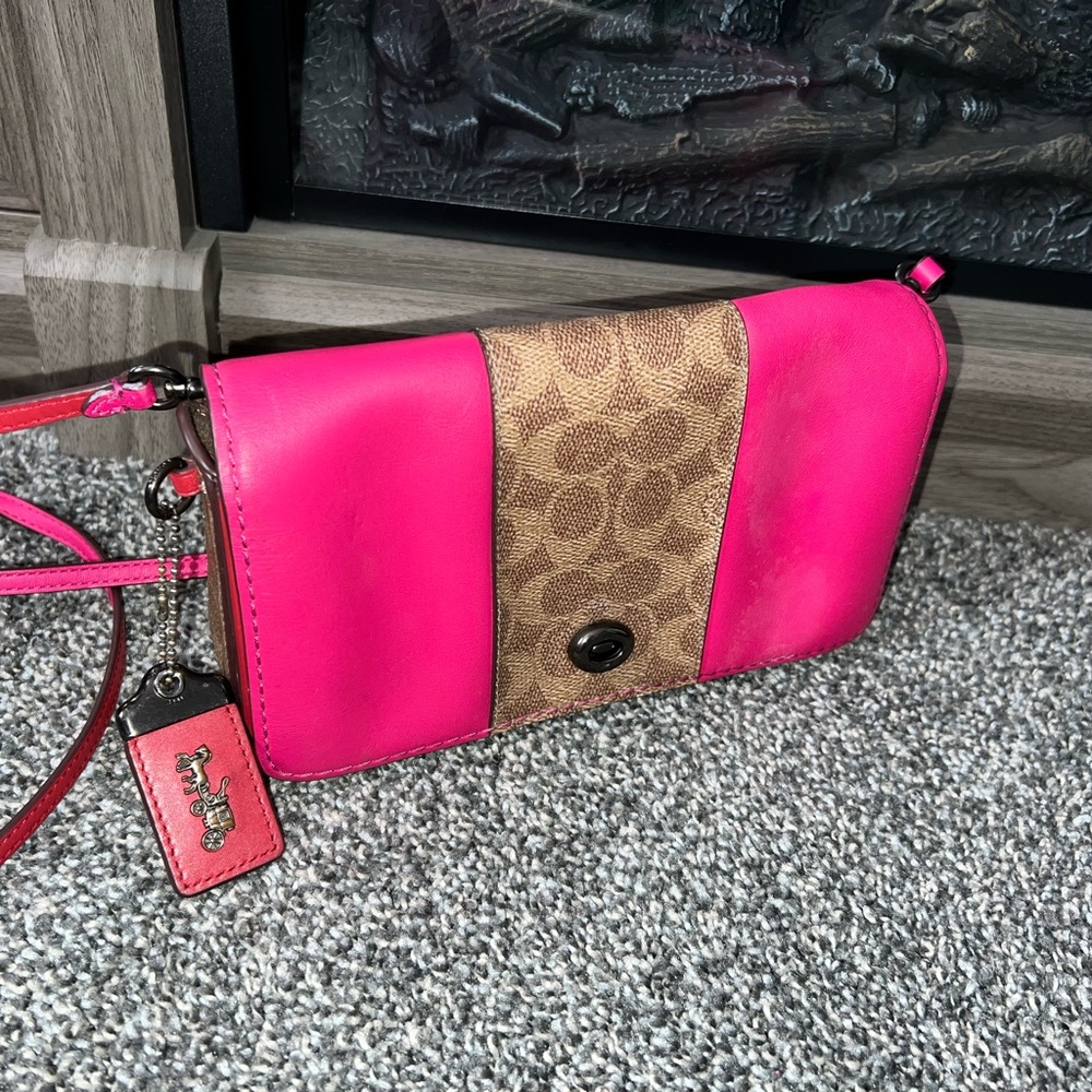 Coach colorblock dinky